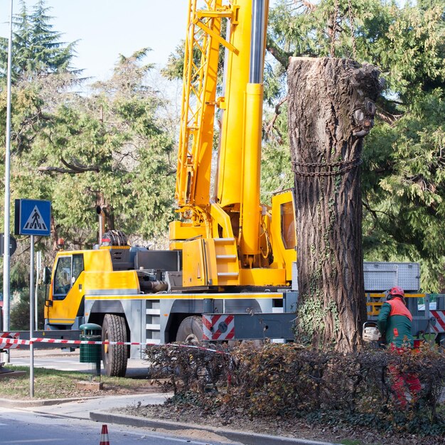 Foto vehículo de construcción en carretera