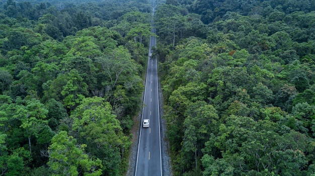 Vehículo eléctrico automóvil atravesando el bosque EV energía eléctrica para el medio ambiente Tecnología de energía natural objetivos de desarrollo sostenible energía verde Ecología del ecosistema medio ambiente saludable viaje por carretera