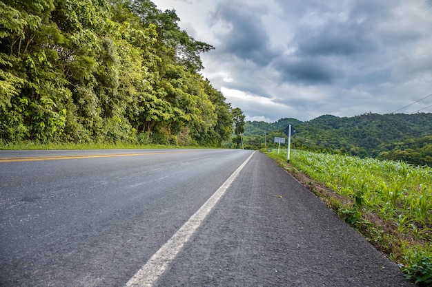 Vehículos de carretera con árboles.