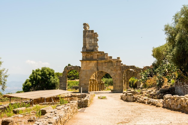 Foto veja a antiga cidade romana de tindarys sicília