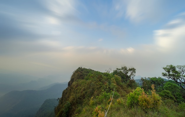 Veja a beleza da natureza