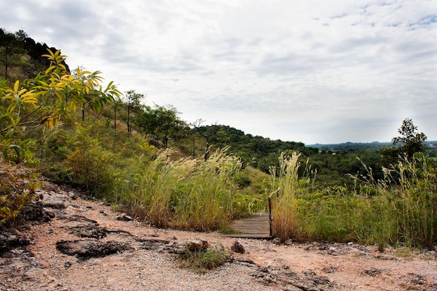 Veja a paisagem com floresta montanhosa de Khao Lon Adventure para tailandeses e viajantes estrangeiros viajam visitam descanso relaxam caminhadas trekking no ponto de vista na selva na cidade de Sarika em Nakhon Nayok Tailândia