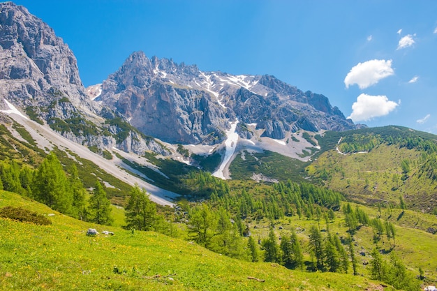 Veja o close up rochas alpinas no parque nacional dachstein, áustria, europa. céu azul e floresta verde no dia de verão