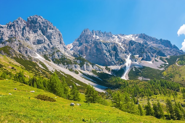 Veja o close up Rochas alpinas no Parque Nacional Dachstein, Áustria, Europa. Céu azul e floresta verde no dia de verão
