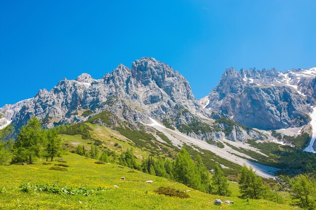 Veja o close up Rochas alpinas no Parque Nacional Dachstein, Áustria, Europa. Céu azul e floresta verde no dia de verão