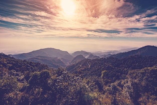 Foto veja o vintage da montanha e da névoa para um fundo natural