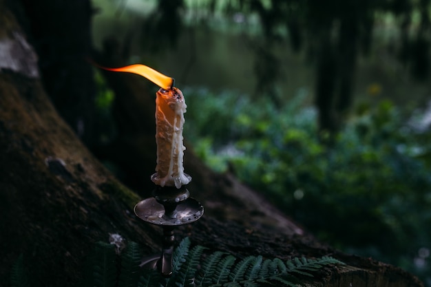 Vela acesa em floresta encantada conceito esotérico oculto