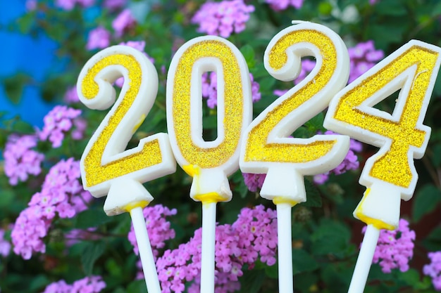 Foto vela dorada y brillante número 2024 sobre flor rosa con licencia verde 20 24 concepto de fondo de víspera de año nuevo
