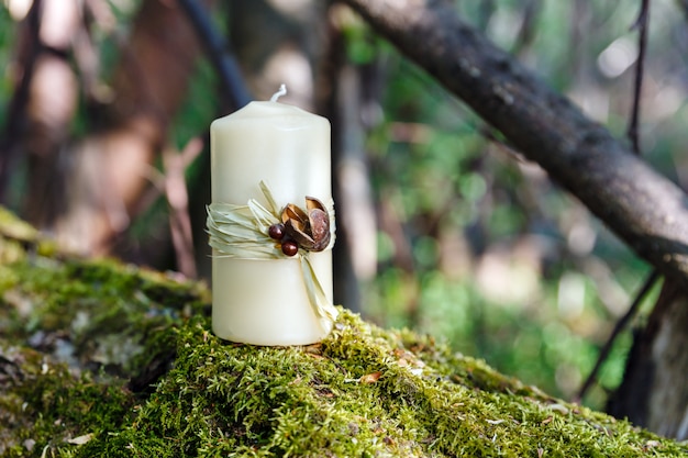 Vela en un tronco en el bosque