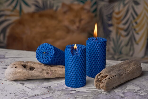 Velas decorativas de cera de abelha com aroma de mel para interior e tradição.