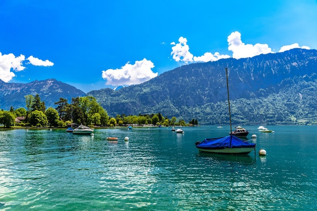 Veleiros no Lago Thun Thunersee Bern Suíça