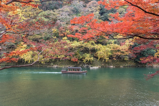 Velero en otoño, Arashiyama, Kyoto, Japón