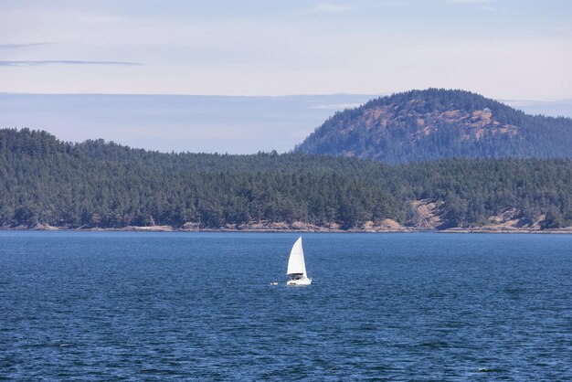 Velero en paisaje canadiense por el océano y las montañas