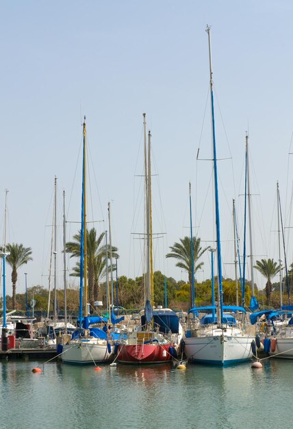 Veleros amarrados en el puerto