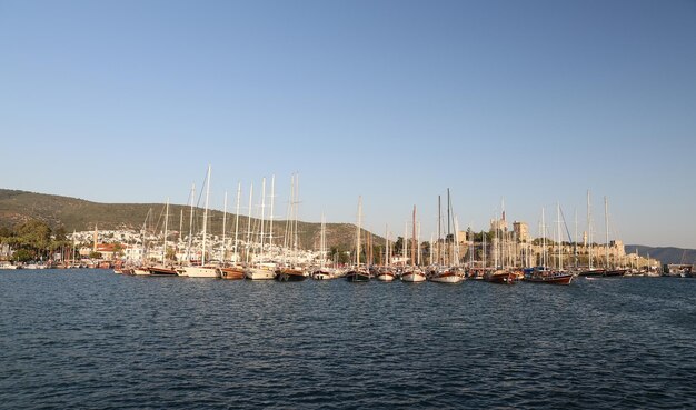 Veleros en el puerto deportivo de Bodrum