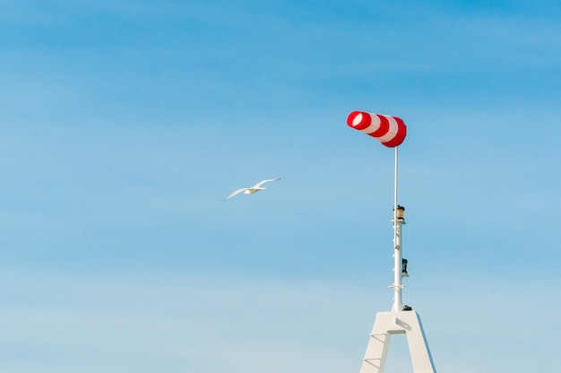 Veleta de manga de viento volando horizontalmente con cielo azul. Grandes aves gaviotas volando alrededor.