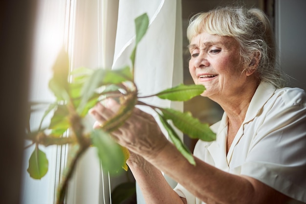 Velha alegre cuidando da planta de casa em casa