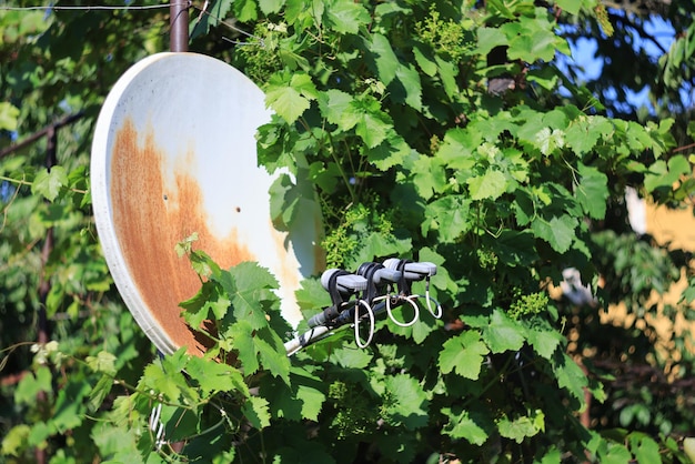 Foto velha antena parabólica enferrujada coberta de plantas