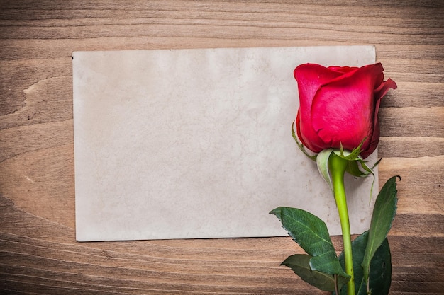 Velha folha de papel e botão de rosa vermelho na placa de madeira