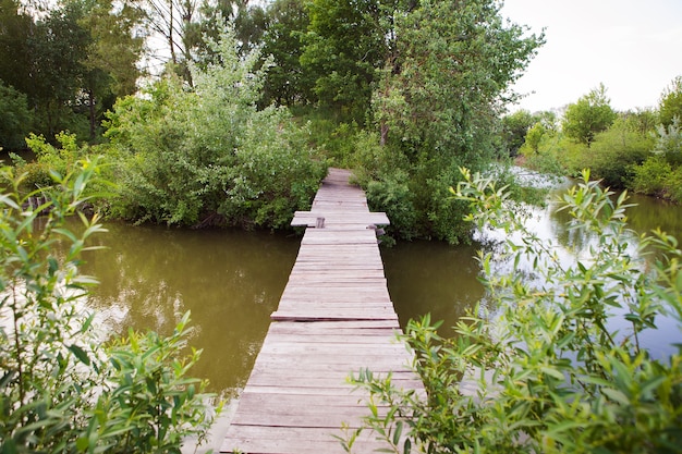 Velha ponte de madeira perto de um lago em um bosque verde.