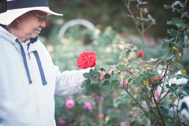 Foto velha sênior relaxante no jardim de flores de rosas