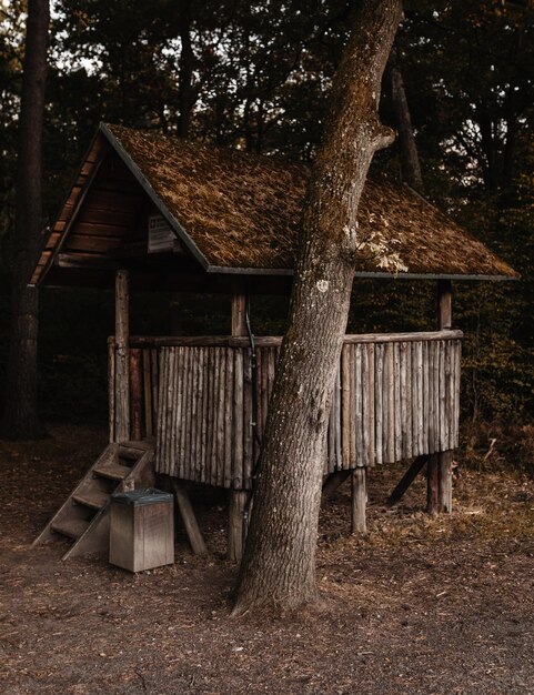 Velho banco de madeira em um campo na floresta