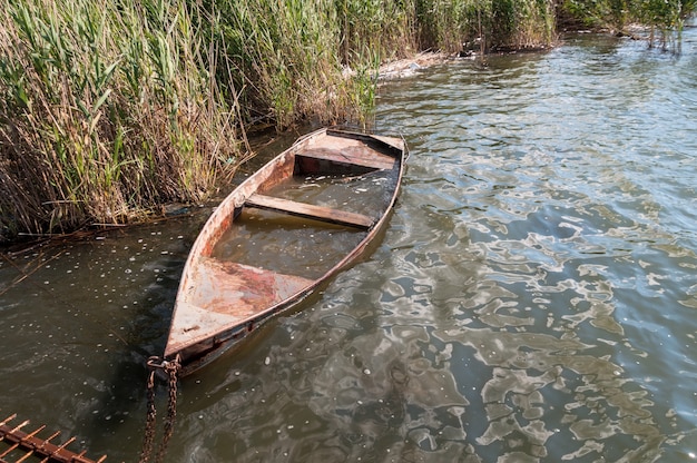 Velho barco inundado nos juncos. Dia de sol no lago.