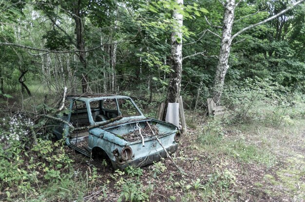 Velho carro soviético, carro avariado na floresta, carroceria do carro.