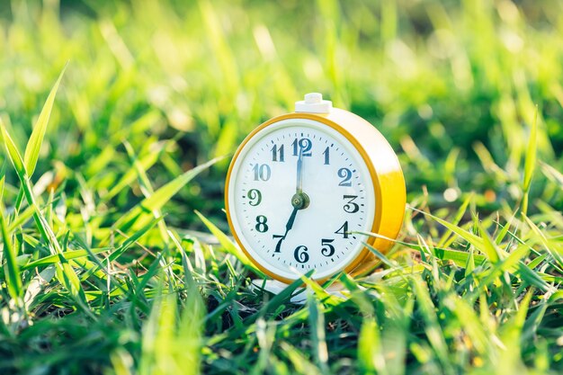 Velho despertador na grama verde ao amanhecer. O conceito de manhã e início da jornada de trabalho