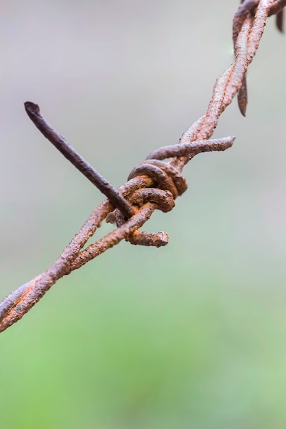 Velho e enferrujado arame farpado