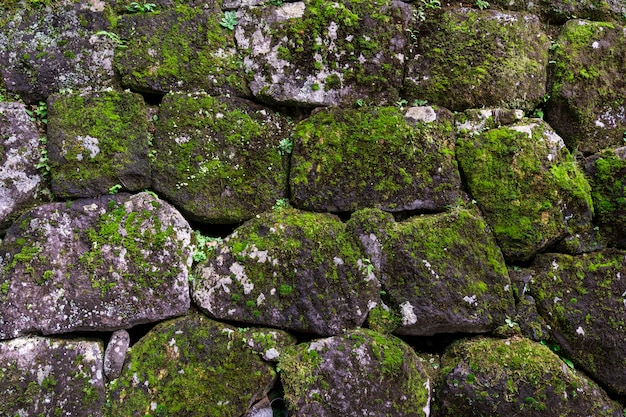 velho muro de pedra coberto por musgo verde