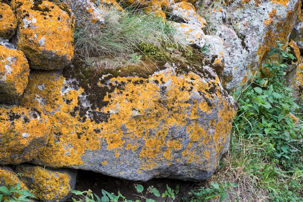 Velho muro de pedra, musgo e mofo na pedra na Geórgia