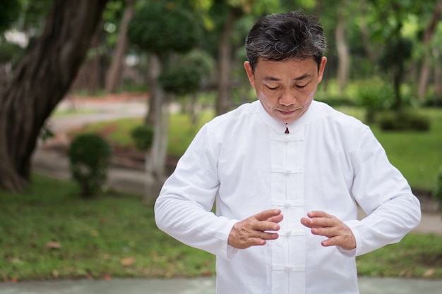 Velho praticando kungfu ou tai chi no parque conceito de exercício de meditação estilo de vida saudável