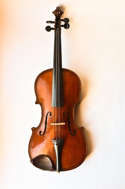 velho violino