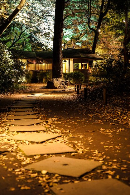 Foto velhos japoneses da noite