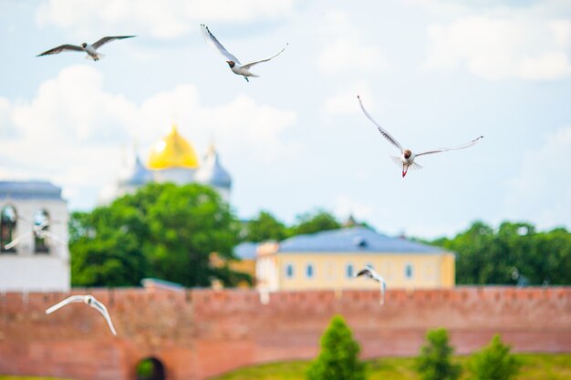 Veliky Novgorod, Russland. Nowgorod Kreml am Volkhov River