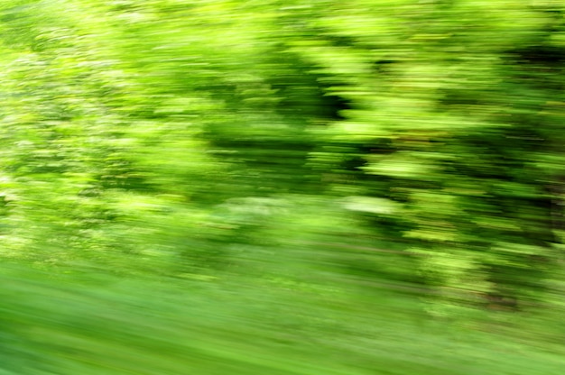 Foto velocidad de la naturaleza