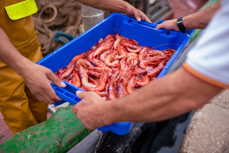 venda de caixas com camarões