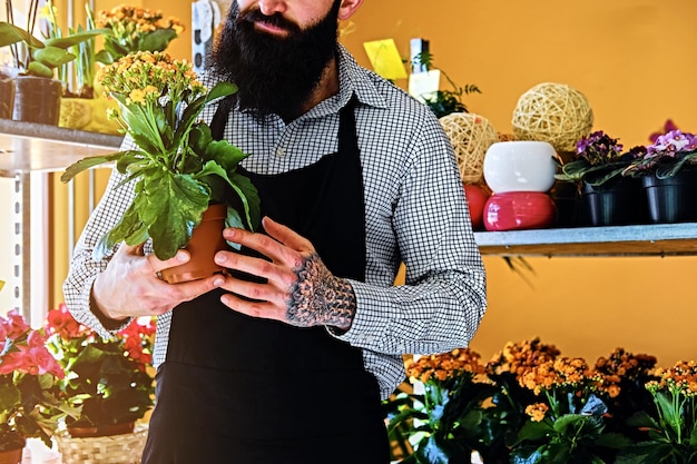 Vendedor de flores barbudo brutal com tatuagens nos braços em uma loja de flores.