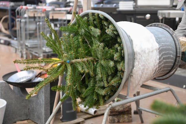 Vendedor está envuelto en un árbol de Navidad cortado embalado en una red de plástico