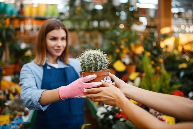 Vendedor femenino muestra plantas en una maceta a la mujer en la tienda de jardinería. Vendedora en delantal vende flores en floristería