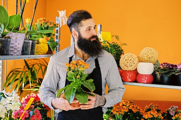 El vendedor de flores barbudo tiene flores en una maceta en una tienda de jardín.