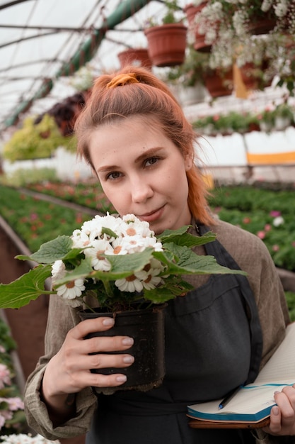 Vendedor mostra planta florescendo em vaso em pé na estufa do shopping gerden