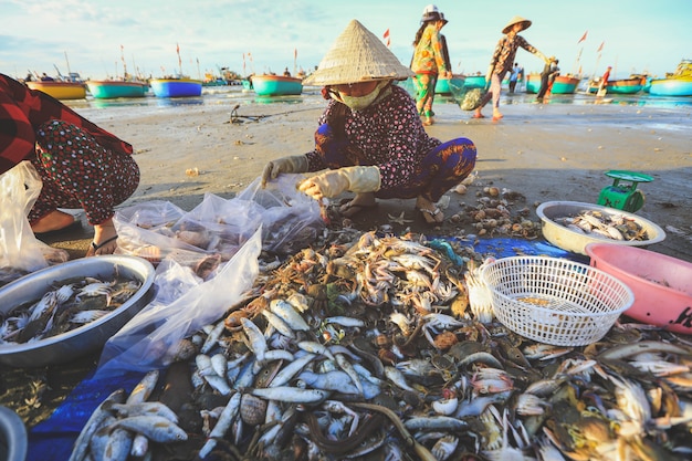 Los vendedores locales están recolectando peces y conchas en el famoso pueblo pesquero de Mui ne, Vietnam