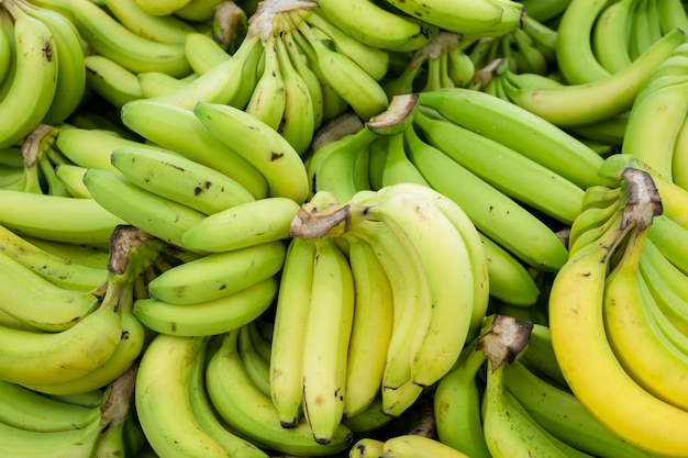 Se venden plátanos en el supermercado.