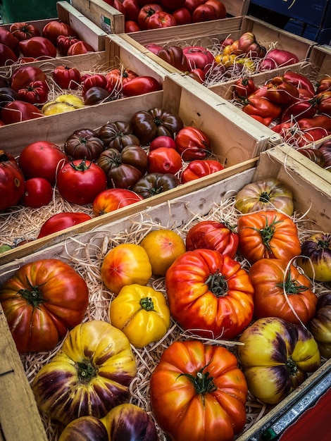 Vender tomates en un mercado local verano francia