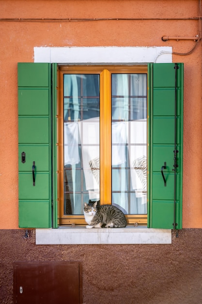 Venecia ventanas y puertas