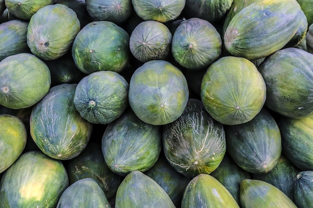 Venta al por mayor de melones de invierno en el mercado asiático