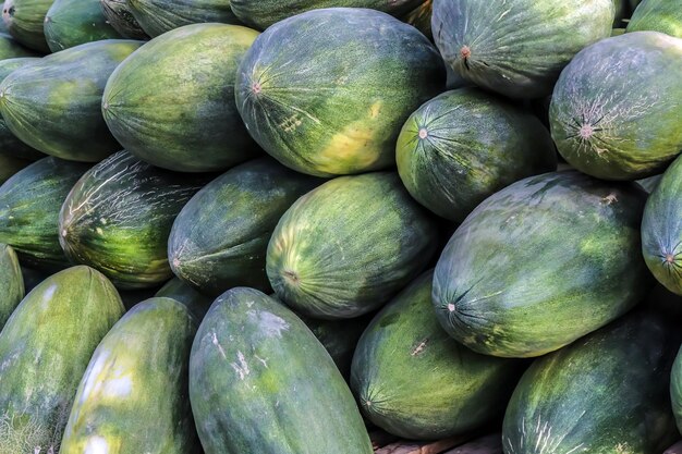 Venta al por mayor de melones de invierno en el mercado asiático