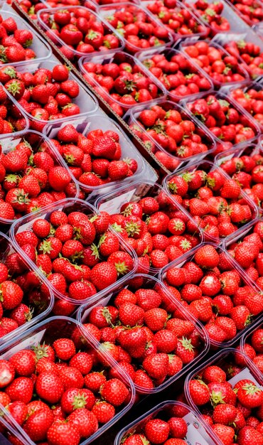 venta de fresas frescas de granja natural